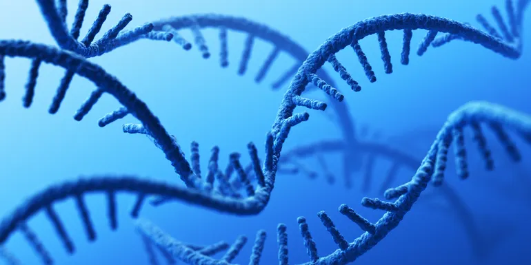 RNA生物技术公司绘制Dravet综合征后期试验蓝图，并展望更远未来