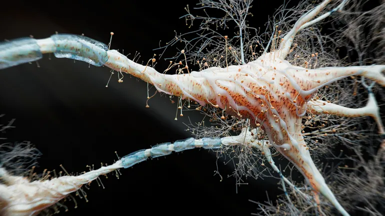 神经科学新锐NeuroSense携手Biogen，竞逐ALS治疗变革浪潮